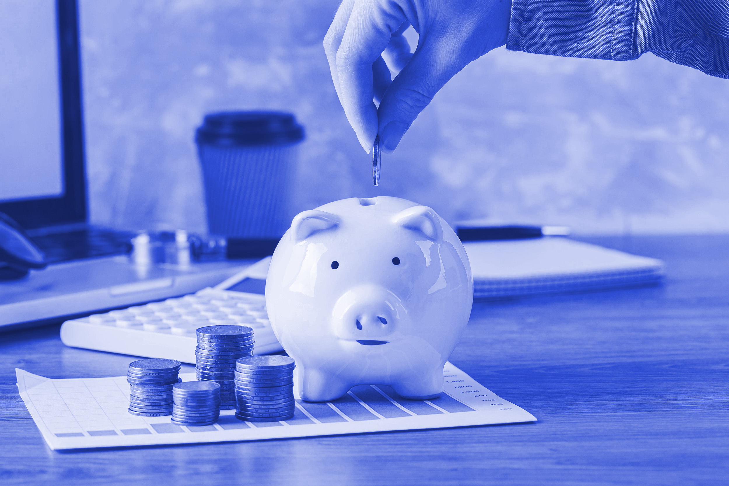 Piggy Bank Asset Management Cover